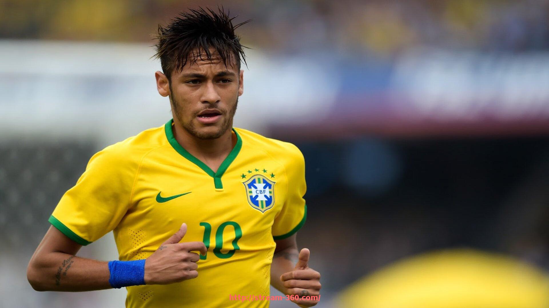 360直播-拉背肌群的健身器材介绍与操作技巧