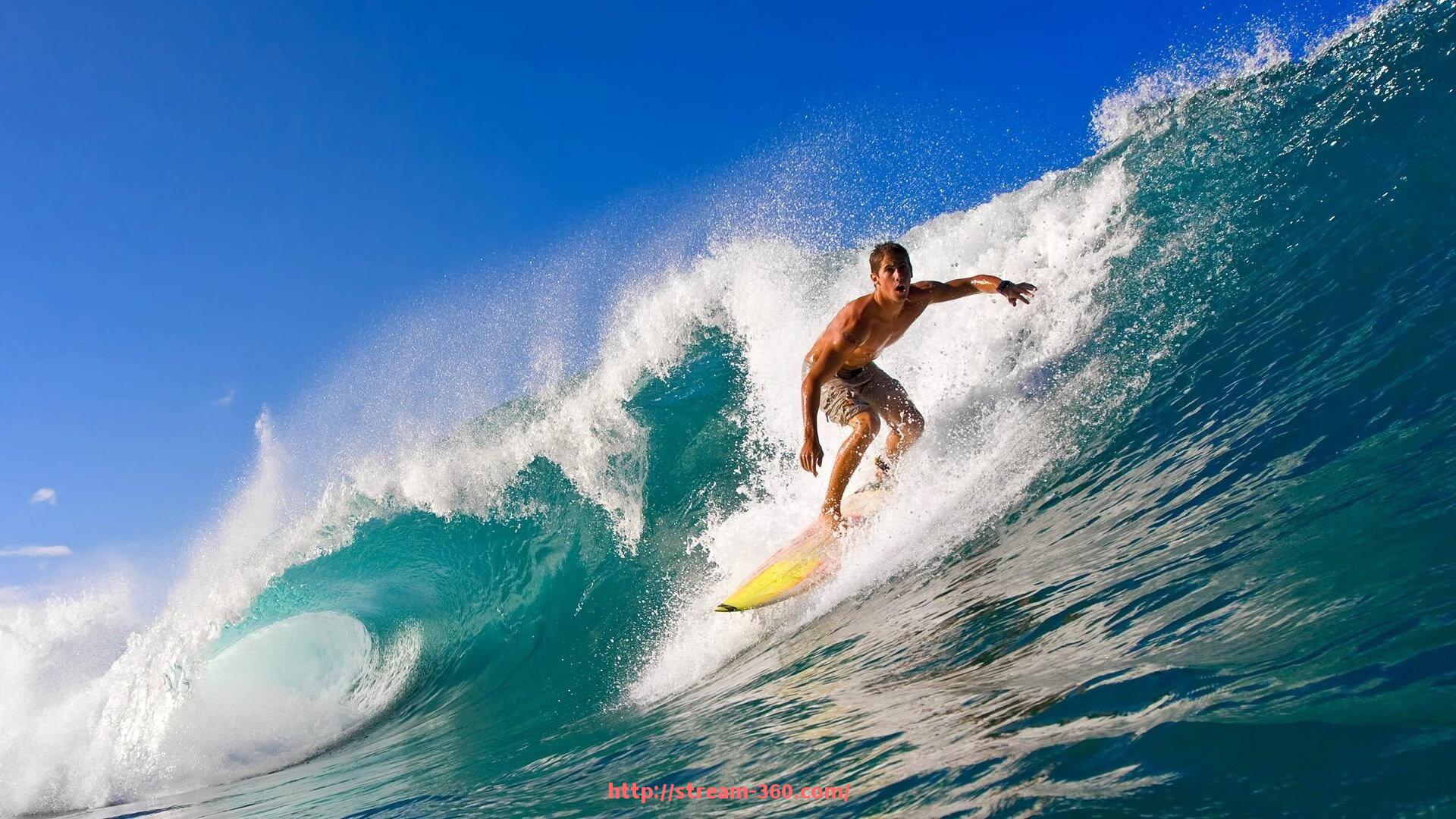 360直播-世俱杯赛事开幕式介绍与精彩瞬间图文记录